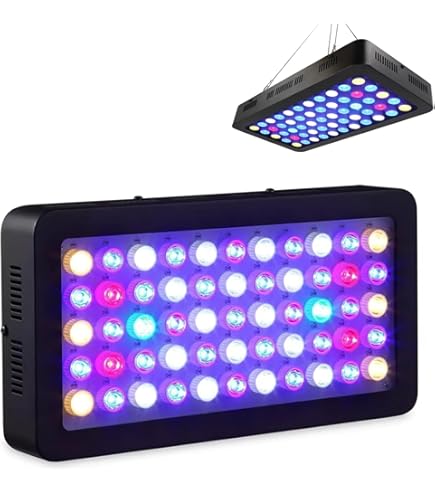 珊瑚水槽照明 LEDライト ブラックボックス プリズムレンズ　2台　※訳あり 格安LEDライト ブラックボックスの使用感と注意点 - 豆腐